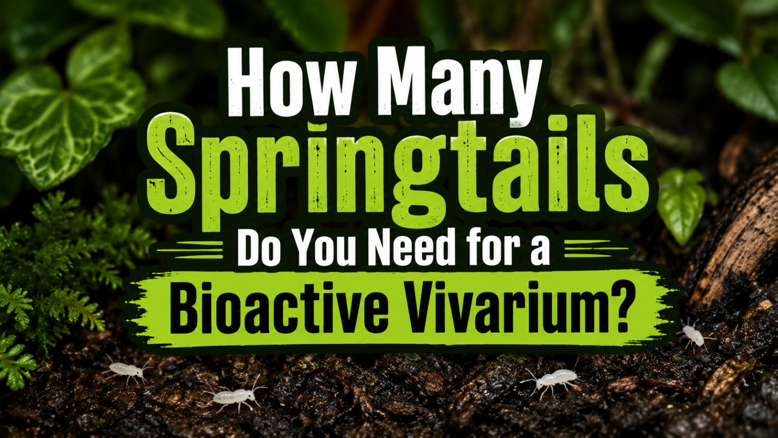How Many Springtails Do You Need for a Bioactive Vivarium? graphic with springtails on soil and green plants